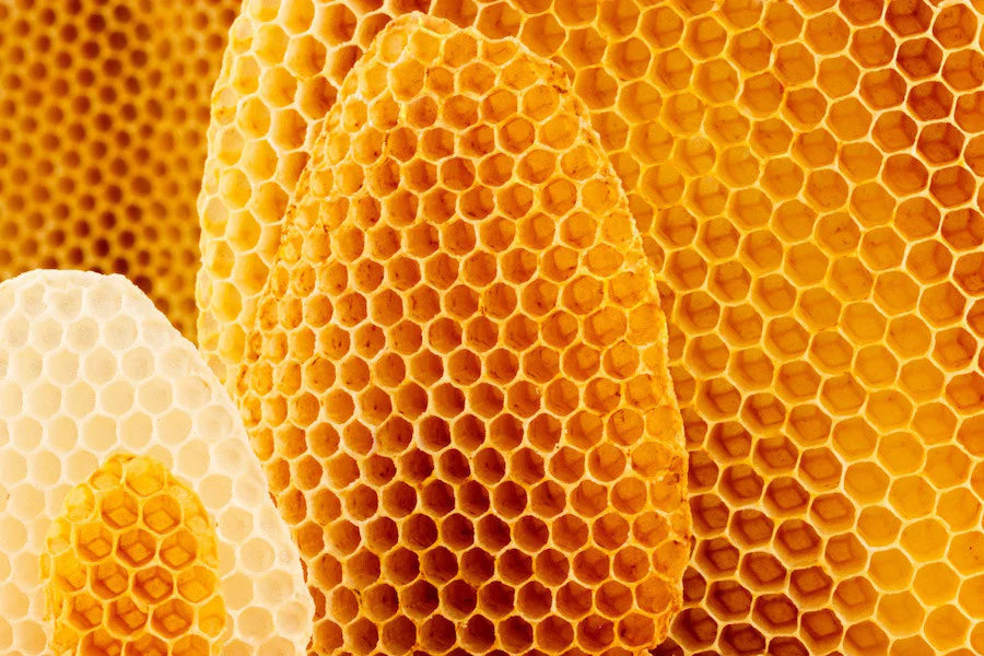 Beeswax Lip Balms -natural, handcrafted - Large recycled paper tube