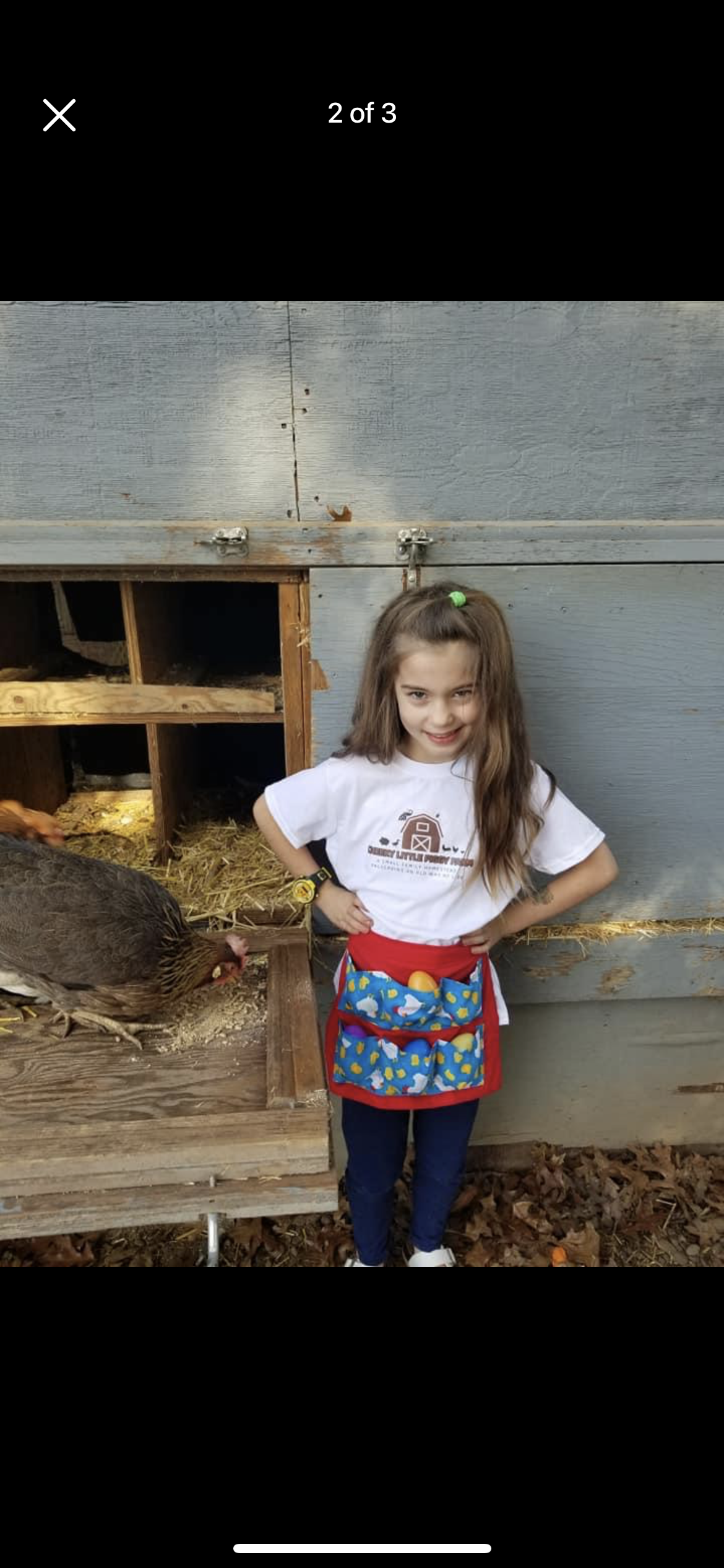 Today I made an #egg apron for collecting eggs. #homestead #eggapron #