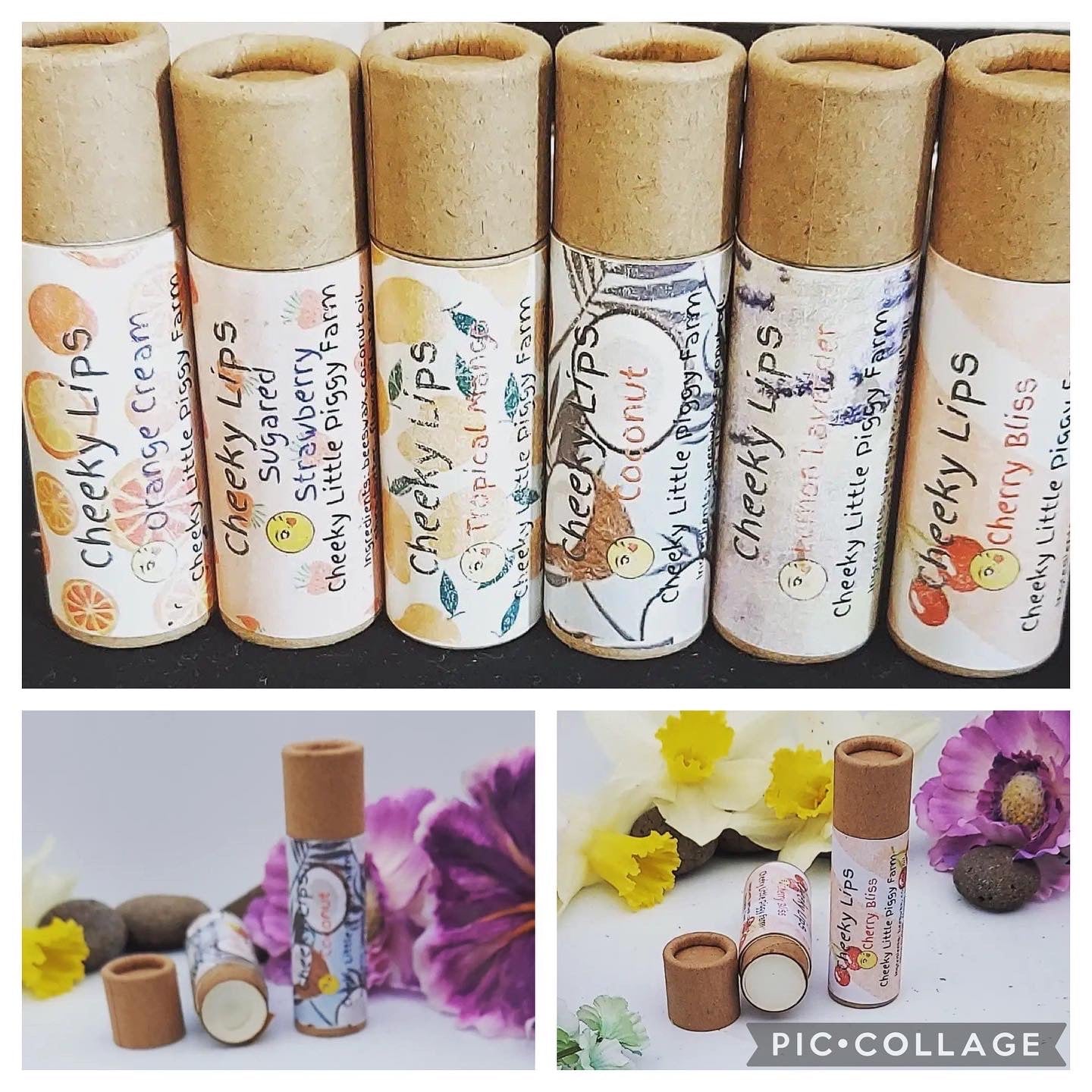 Beeswax Lip Balms -natural, handcrafted - Large recycled paper tube