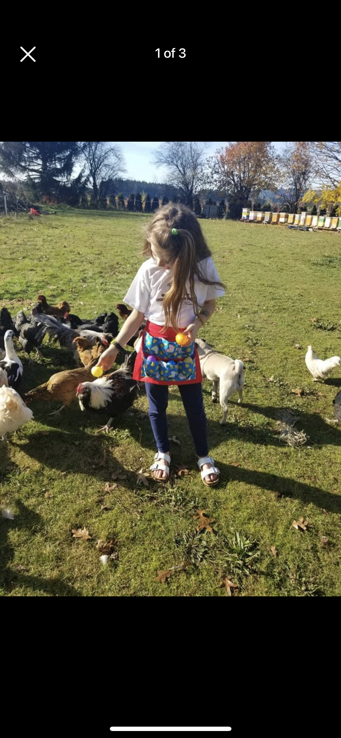 Eggpron! Child Size Egg Collecting Apron