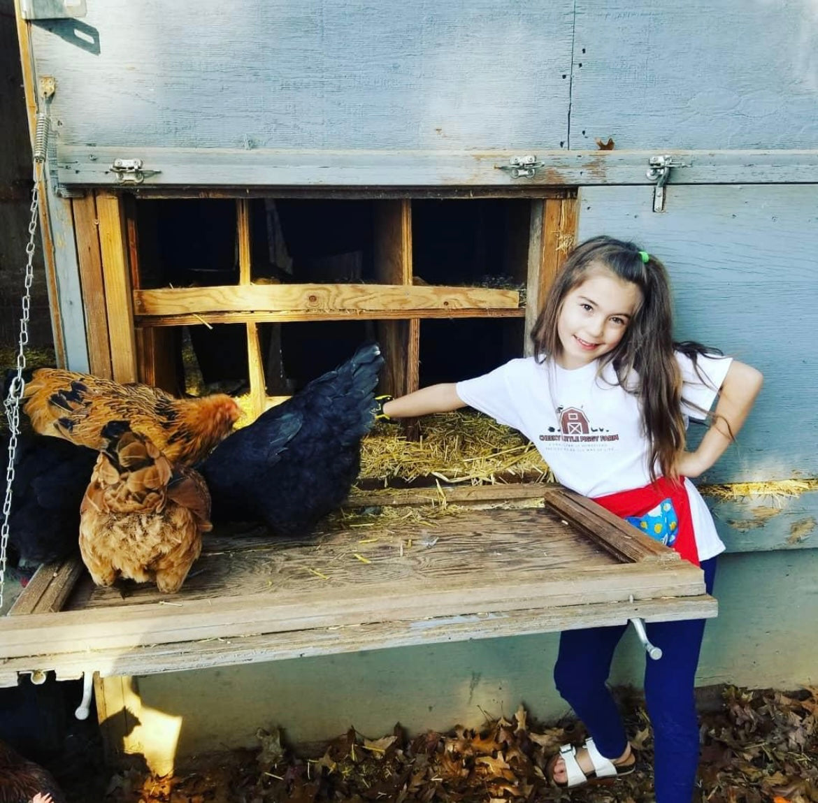 Eggpron! Child Size Egg Collecting Apron